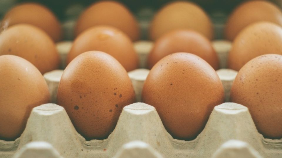 Ем яйца каждый день: как это влияет на обмен веществ и печень — что важно знать Ем яйца каждый день: как это влияет на обмен веществ и печень — что важно знать
