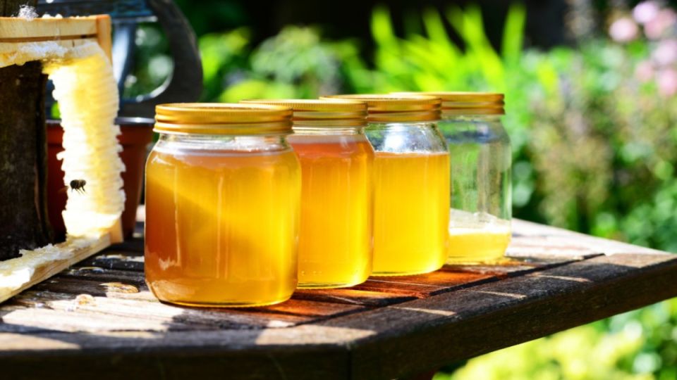 Засахарившийся мед можно реанимировать: вкус и аромат будут прежними — есть простой способ Засахарившийся мед можно реанимировать: вкус и аромат будут прежними — есть простой способ