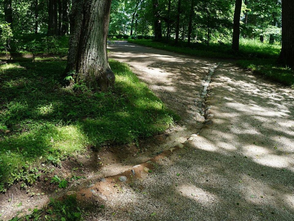 Как быстро создать уютную тень на даче: идеи для вашего сада