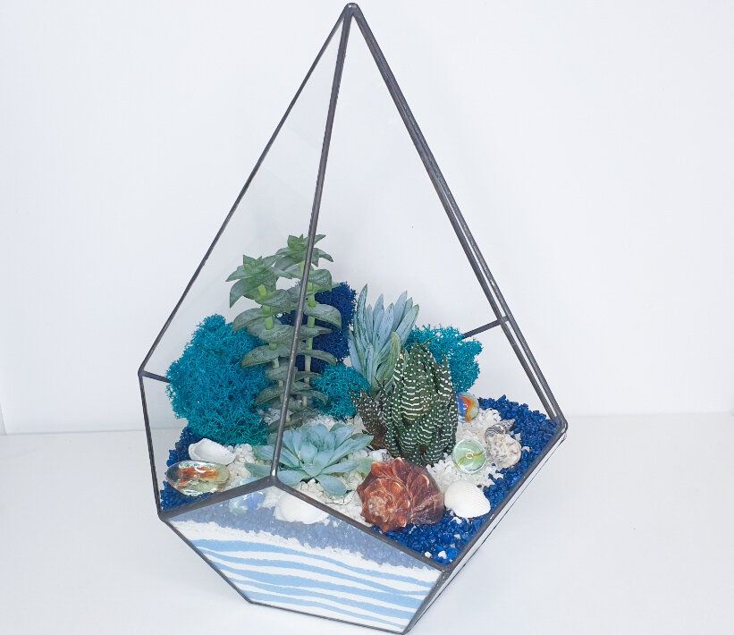 Тонкости выбора места для флорариума: где разместить зелёную красоту в доме?