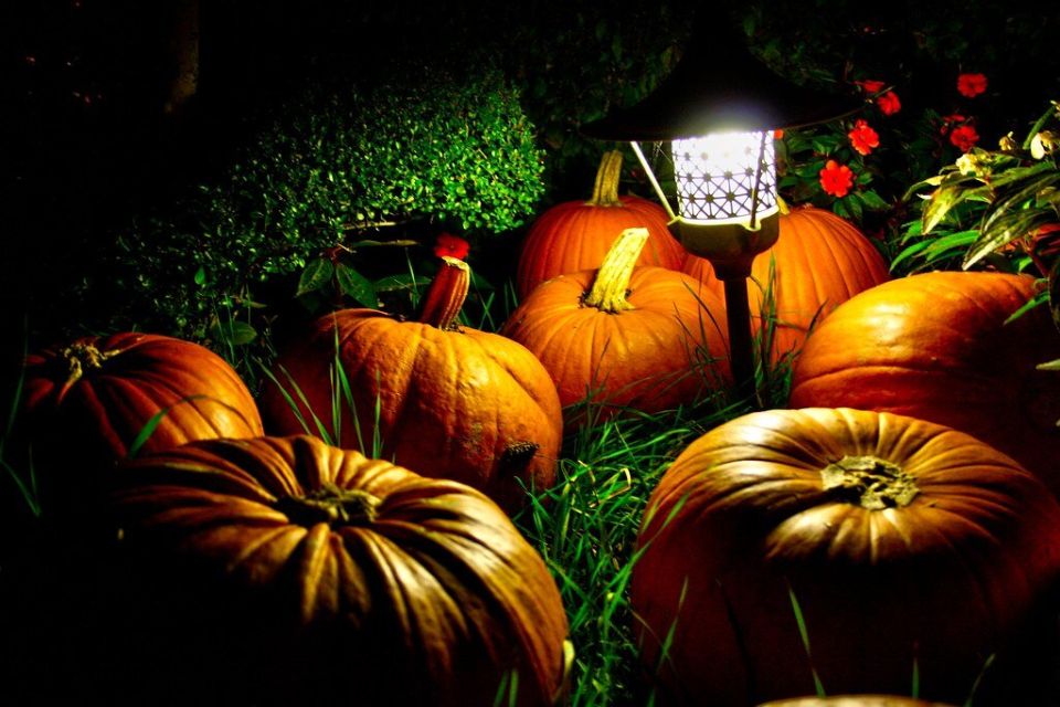 Как Хэллоуин соединяет прошлое и настоящее: Россия встречает Велесову ночь