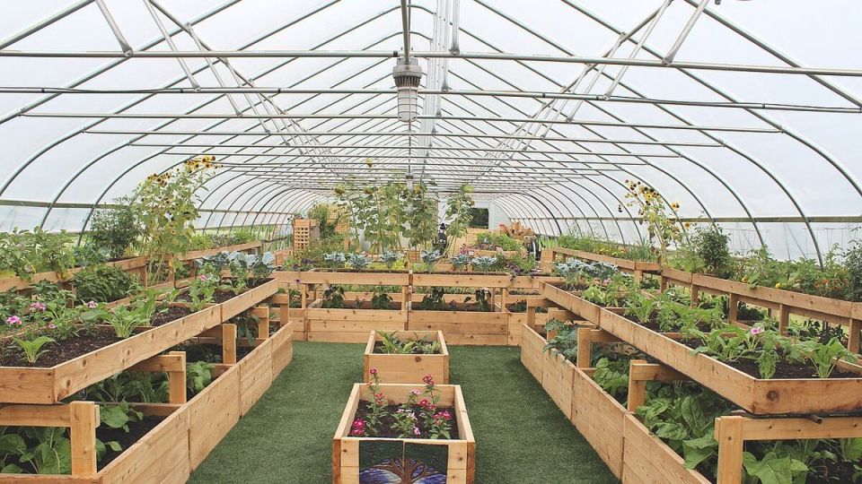 ����� �������� ��������������� � ��������� �����