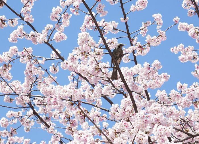 ����� ��� �����: ��� ��������� ���������� ������� ��� ������� ������