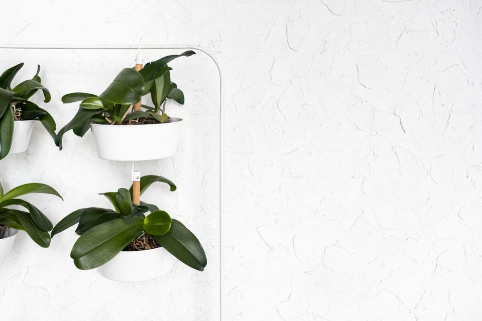 ���-7 �������� ��� ������: ��� � �������� � ������������ �����