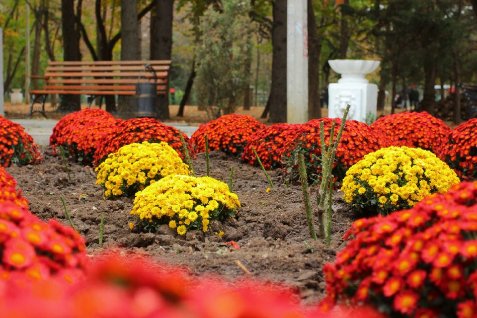 ��� �������� �������� ����: ����� ������� ��������� �������� �� �������� �����