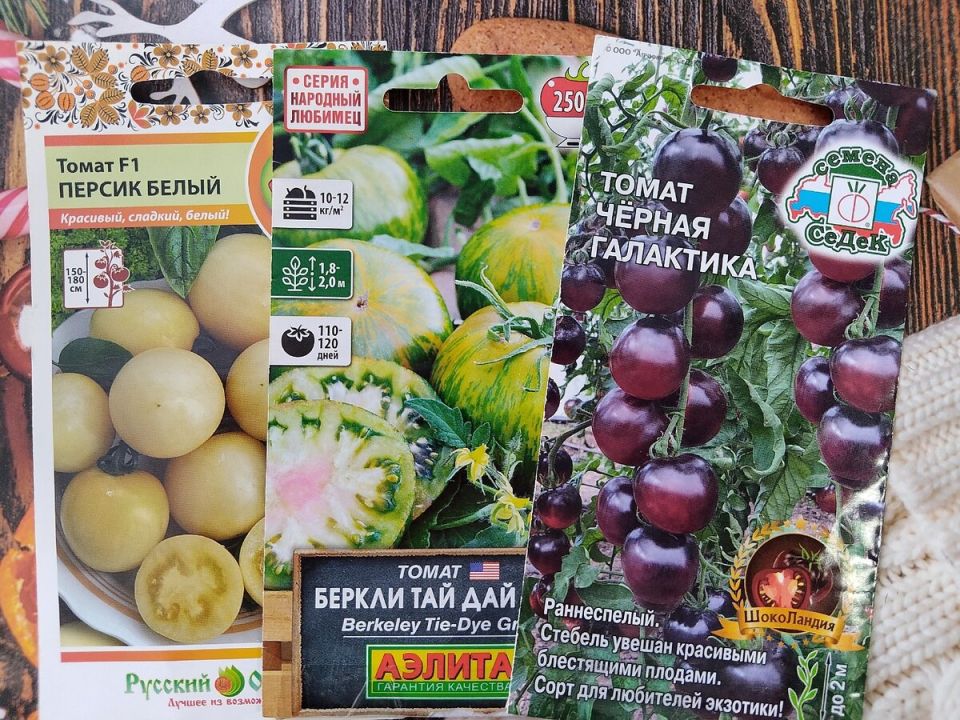 ������������ ������ 2025 ����: ��������� ����� ������������