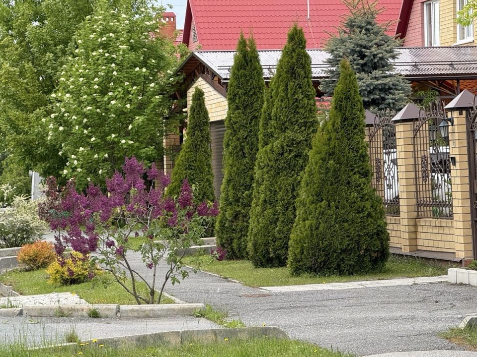 ������, ���������� � ������� ������������: ��� ���� ������� �������� �����