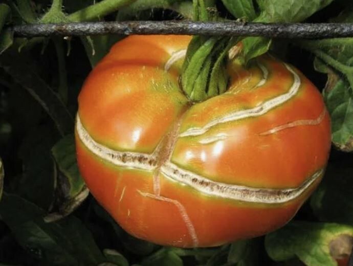 ������� ������ �� ��������� � ������� �� ��������������