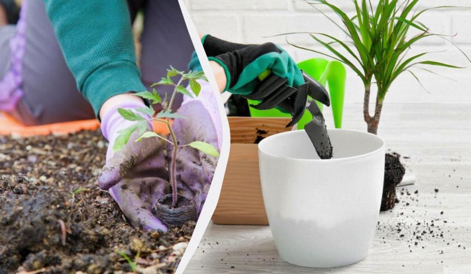 �������� ��������� �� �������: ��� ����� ����� �� ������ ����