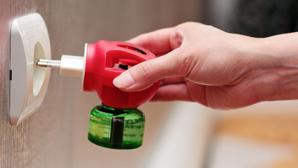 ���� ��� ����� ��� ����������: ���� ������� ������� ������� ������ �� ����