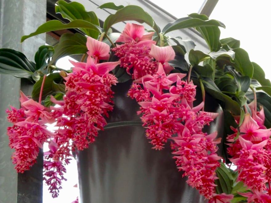 ������ ��������� ��������� �������� ��������������: ������, ��������� � ����������� �� �������