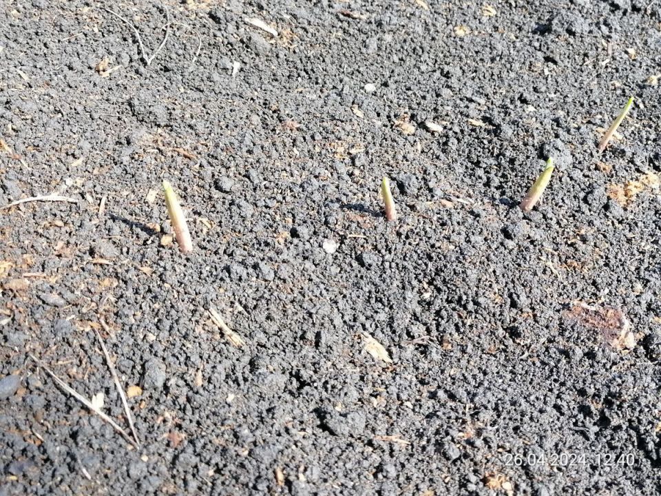 ��������� ������: ��������� �������� � ����������� �����