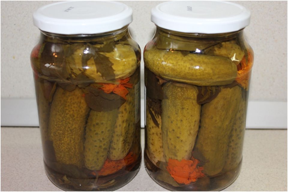 ������ ������������ ������ � ����������: ������� ������ ���������