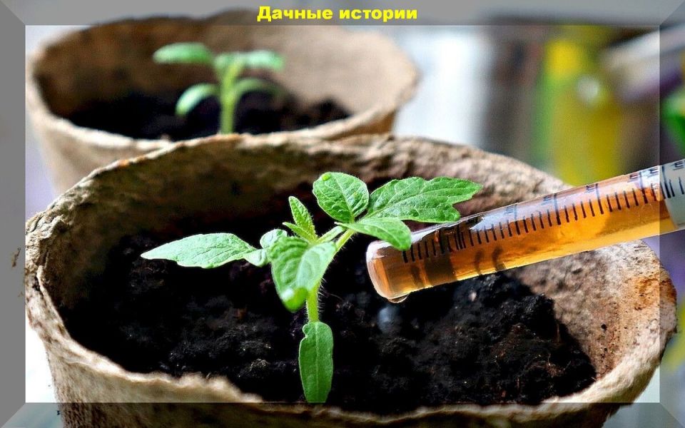 ���-5 �������� ���������, ������� �� ����� �� �����: ��� ����������� ���� ������