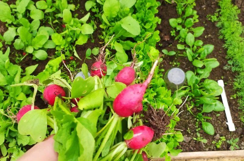 ������ ��������: ��� ����� ����� � ���� ��� �������� ������