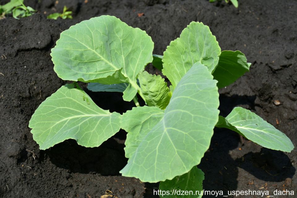 ����� ������� ��������� 7 �������: ������� ������� ������ ���������