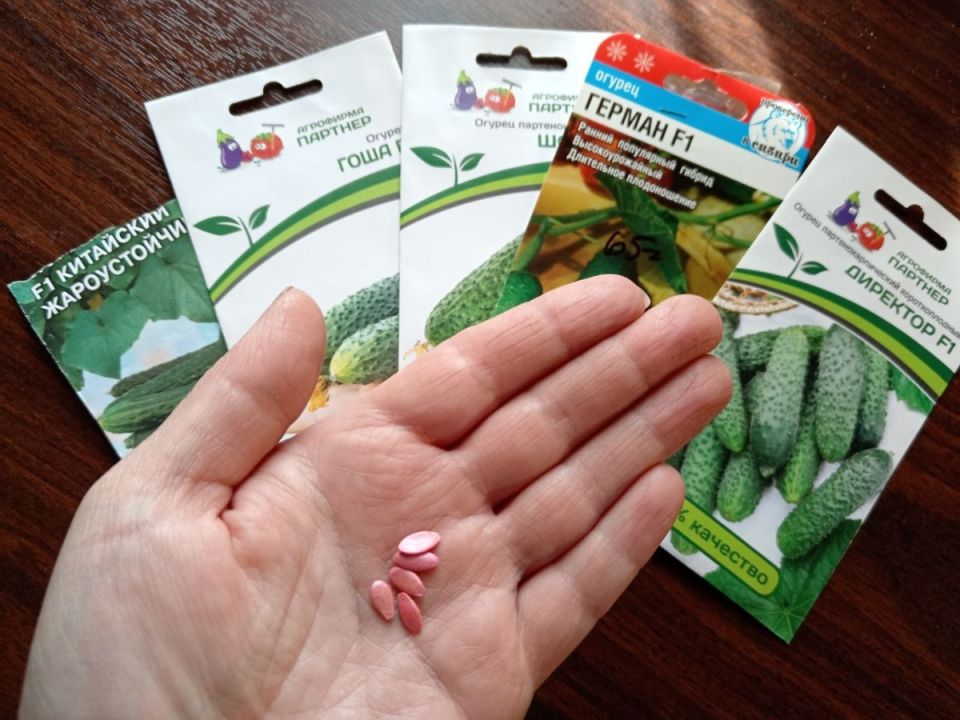 ��� ����� ����� ������ �� ���������� � ��������������