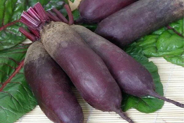 ������� ��������� ����������� ����� ��������: ���� �����������