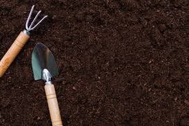 ������ ������ ��������: ��� �������� ����� ������ ������ ������� ��������� �����