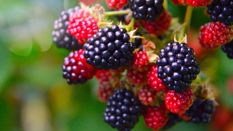 �������: ������� ������ ����� � ����� �� ��������� ��� ������ ����