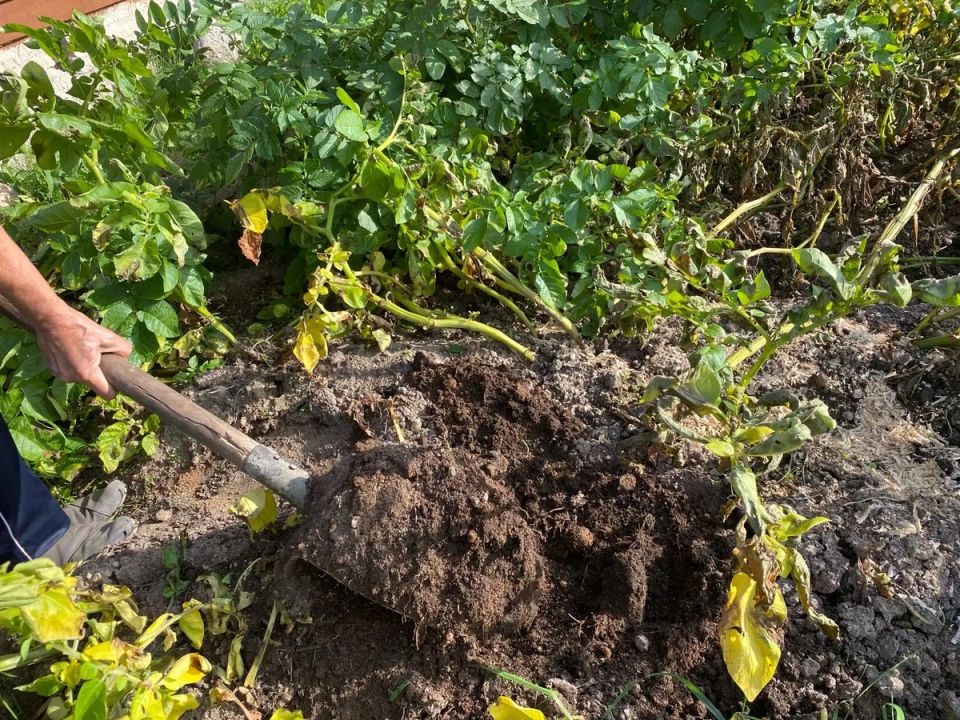 ������ �� ����� ���������� ��-�� ����������� ����� ��������