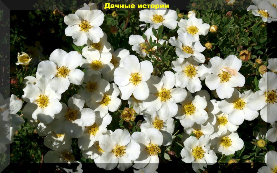 ��� ��������� �����: �������� ��������� �������� ��� ����������� ����