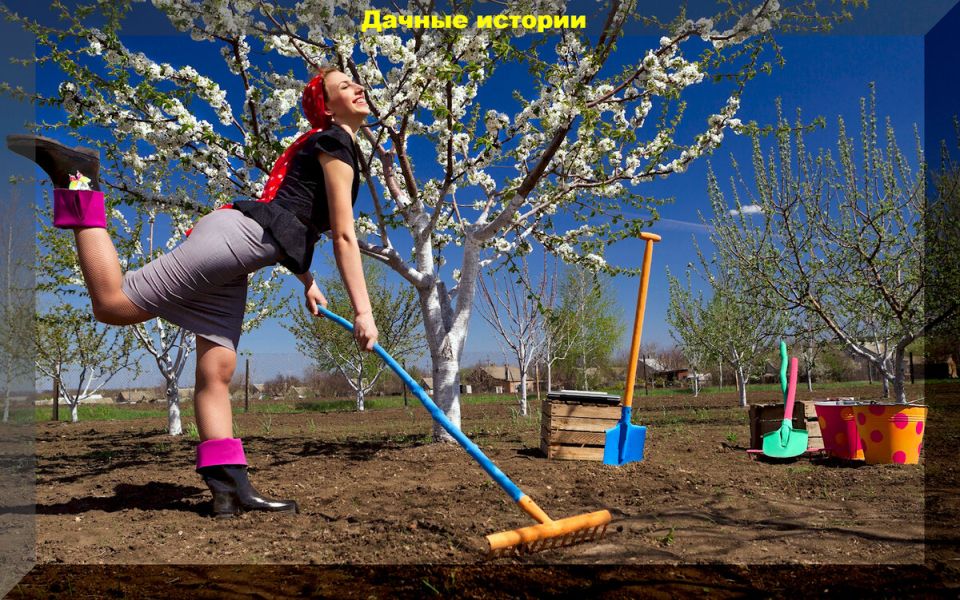 Лайфхаки для современных садоводов: полезные советы для успешного выращивания