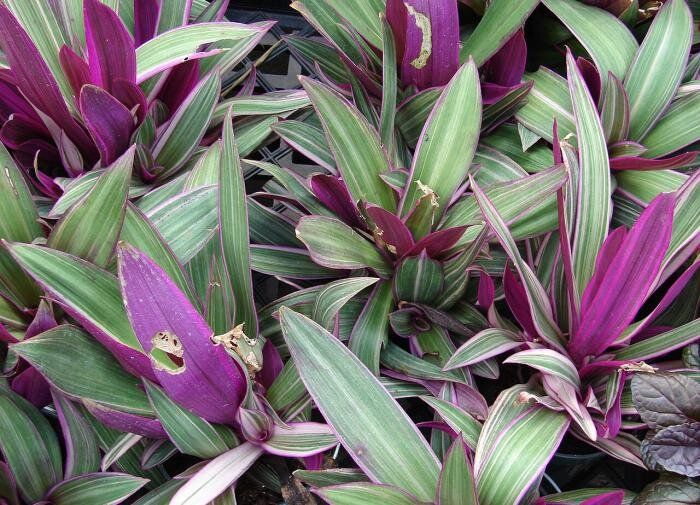 �������� ����: ������� ������������ ����� ��������� ��������