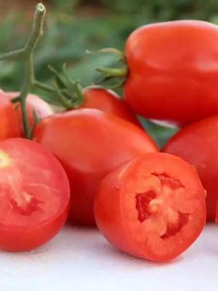 Томат Жирный бульон: мясистые плоды с насыщенным вкусом для вашего стола