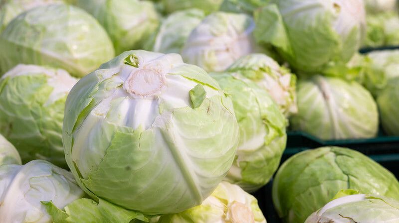 Поздние условия июня: почему часть культур не успевают дать урожай