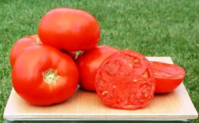 Томат Санрайз: выигрышный выбор для раннего урожая