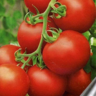 �������� 165: ��������� ������ �� ����� � ������������� � ���������� ������������