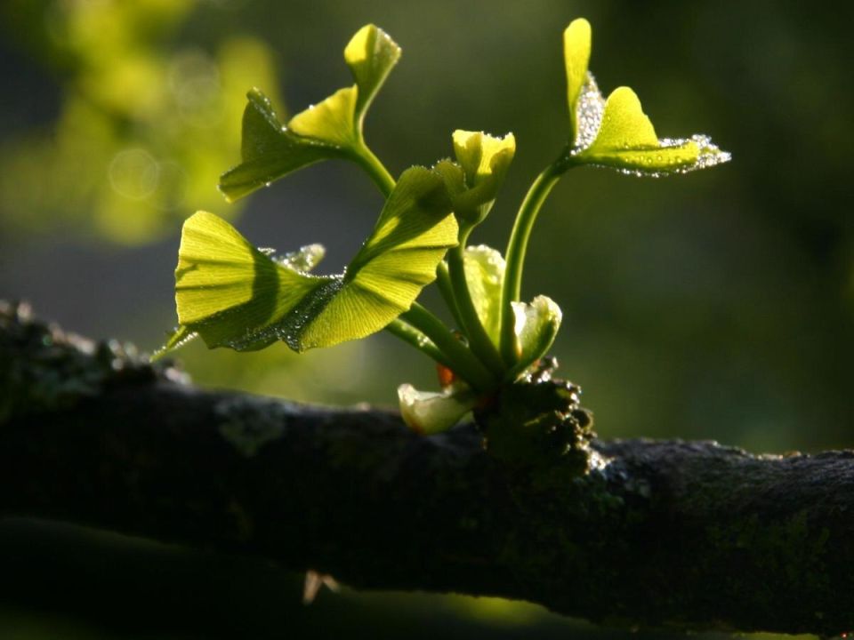 �������� �� ������ ������� �������� ������� � �������� � ������� ��������