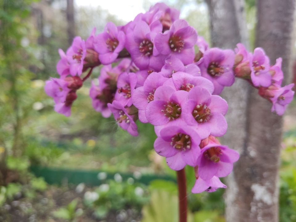 �������� ��� � ��� ������������� �����: �����, �������� � ��������