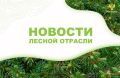 РИА Новости: Путин поручил увеличить объем работ по лесоустройству