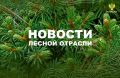 РИА Новости: Глава Минприроды рассказал о ситуации с природными пожарами