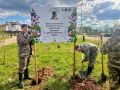 В посёлке Краснозатонский прошла акция Сад памяти, посвящённая героям Великой Отечественной войны