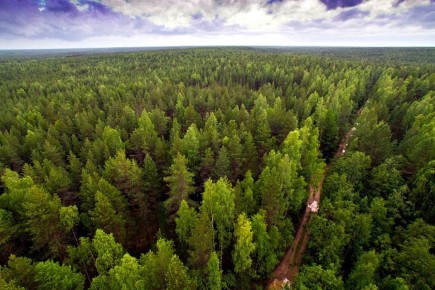30 июня 2025 года прокурор г.Сосногорска Виктория Валентиновна Михеева вместе с Уполномоченным по правам человека в Республике Коми Верой Борисовной Железцовой проведут личный прием граждан