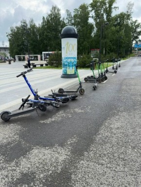  :        ,        ,    