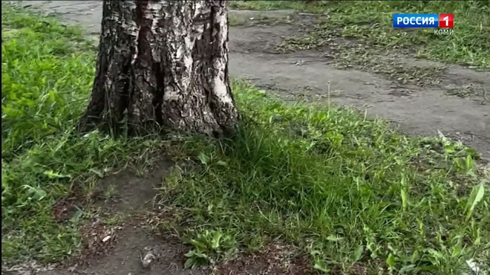     :       