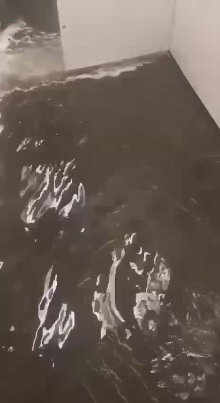  :    Hide      