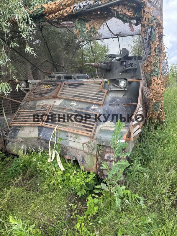  :   Pansarbandvagn 302