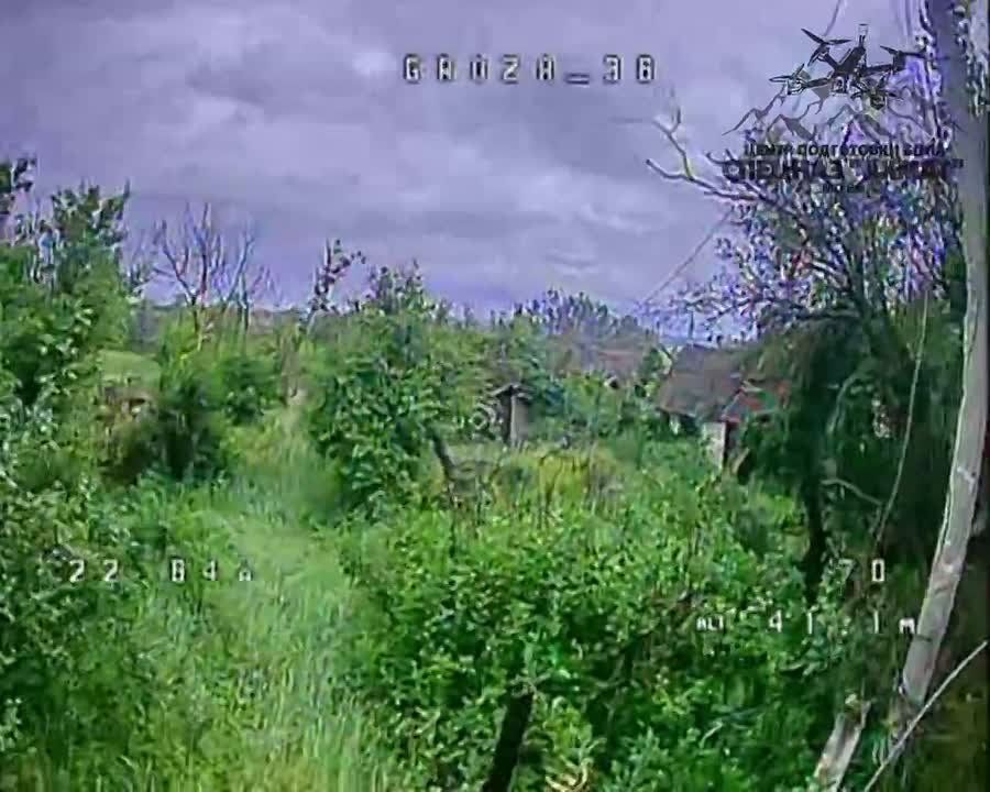       һ    25   