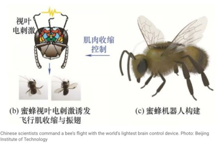 :       -          South China Morning Post