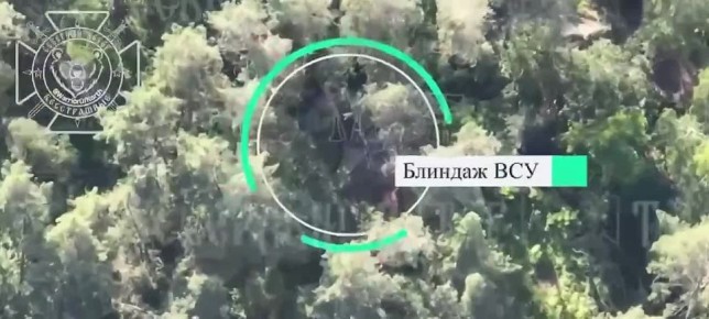 Владимир Разин: Удары ФПВ по украинским позициям в приграничье Черниговской области