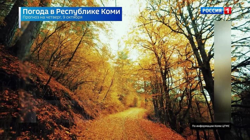 Прогноз погоды в Республике Коми на 9 октября