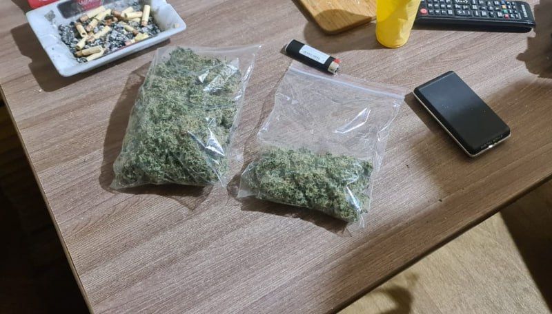 В Воркуте полицейскими задержан подозреваемый в организации наркопритона и культивировании конопли