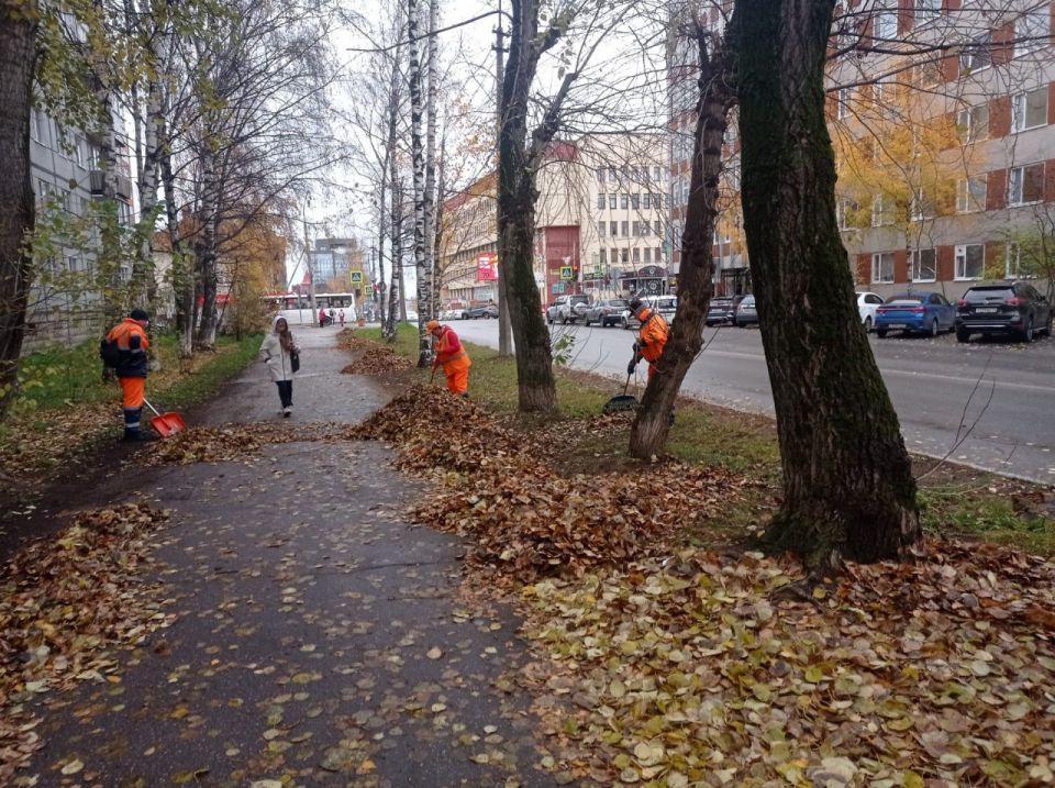 Уборка листового опада на улицах Димитрова и Красных Партизан силами МКП "Дорожное хозяйство"