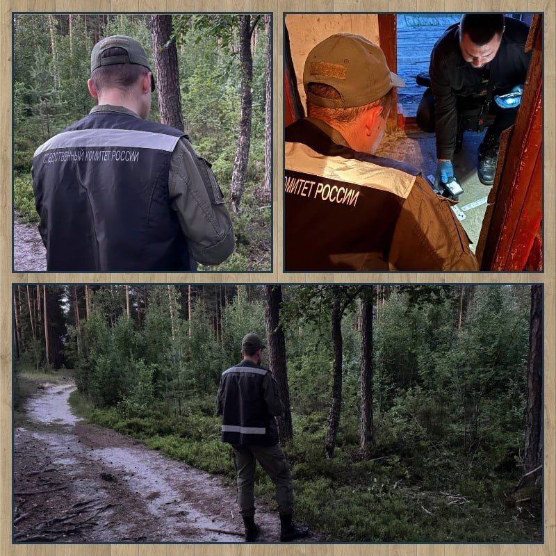 В Сыктывкаре завершено расследование уголовного дела об убийстве и краже