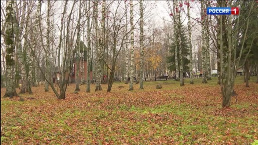 О погоде на выходные: местами ожидаются небольшие, но умеренные осадки в виде дождя и мокрого снега